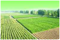 首页|bifa必发集团中国官方网站