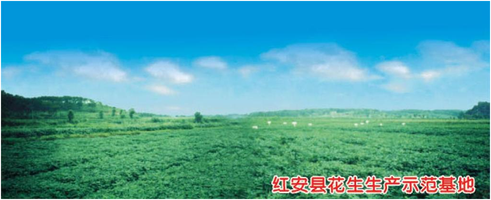 首页|bifa必发集团中国官方网站