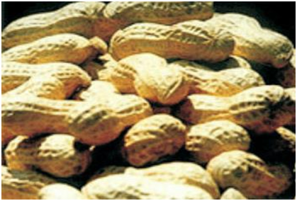 首页|bifa必发集团中国官方网站