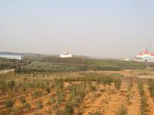 首页|bifa必发集团中国官方网站