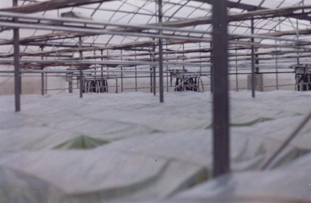 首页|bifa必发集团中国官方网站