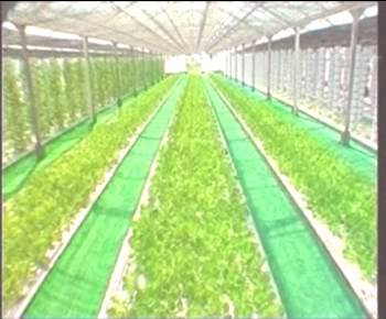 首页|bifa必发集团中国官方网站