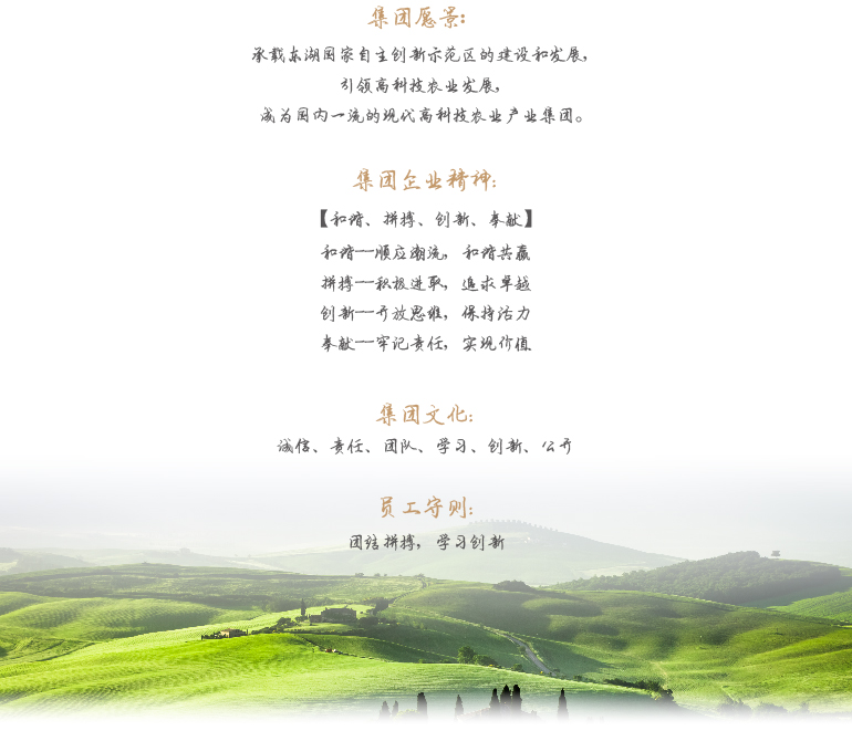 首页|bifa必发集团中国官方网站