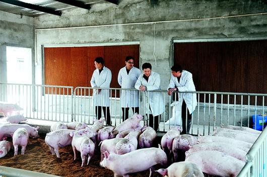 首页|bifa必发集团中国官方网站