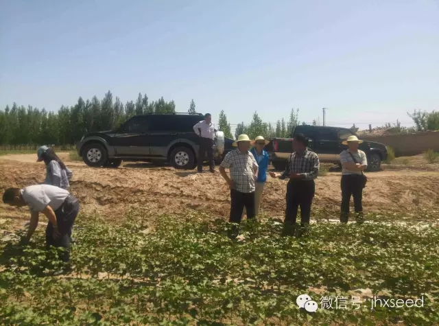 首页|bifa必发集团中国官方网站