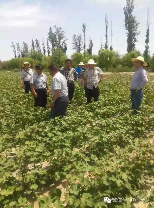 首页|bifa必发集团中国官方网站