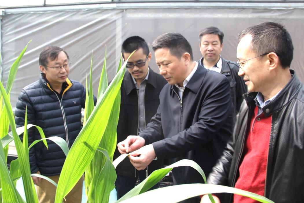 首页|bifa必发集团中国官方网站