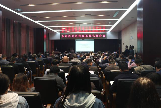 首页|bifa必发集团中国官方网站